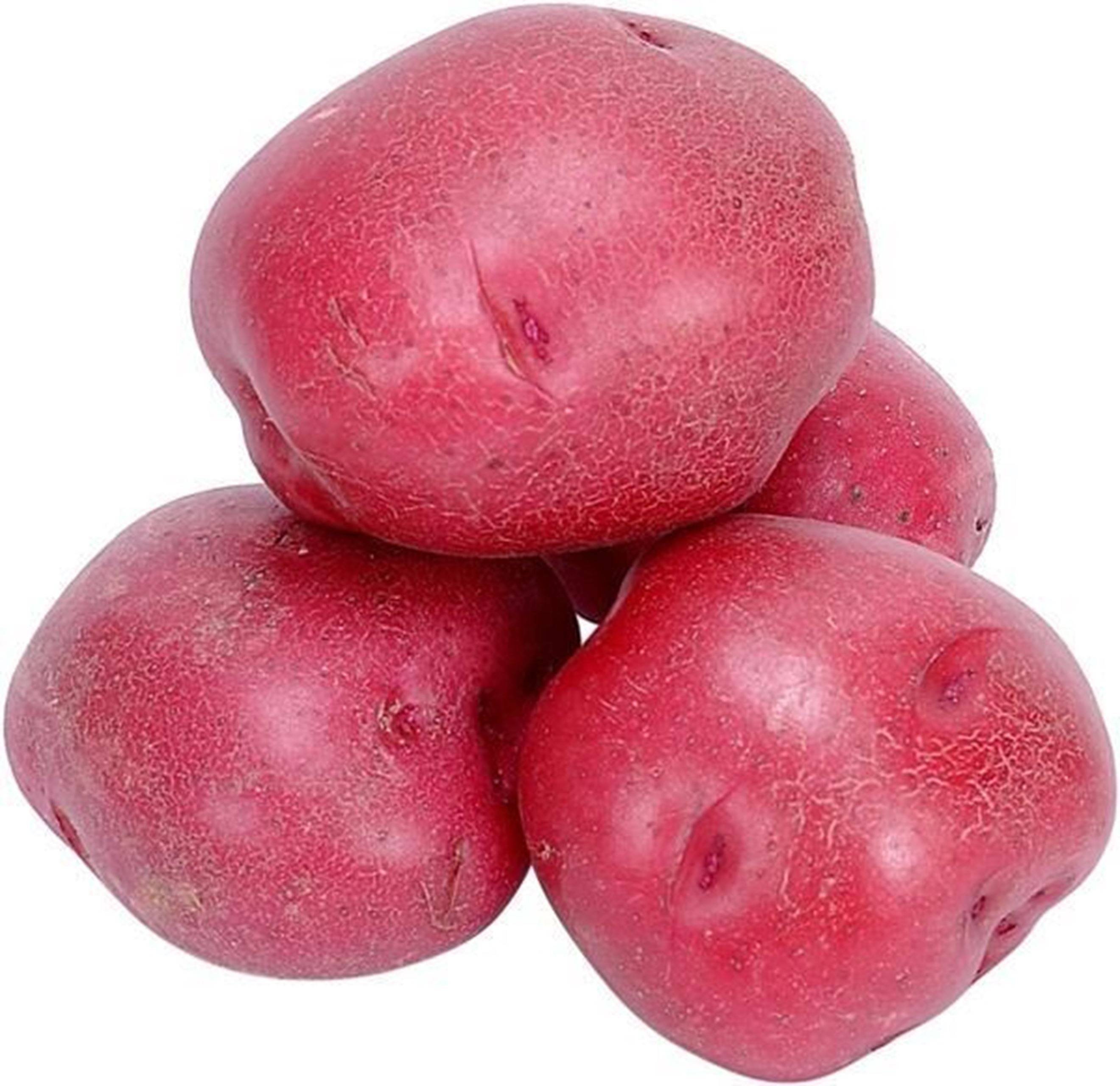 Сорт картофеля ред Бородянский розовый