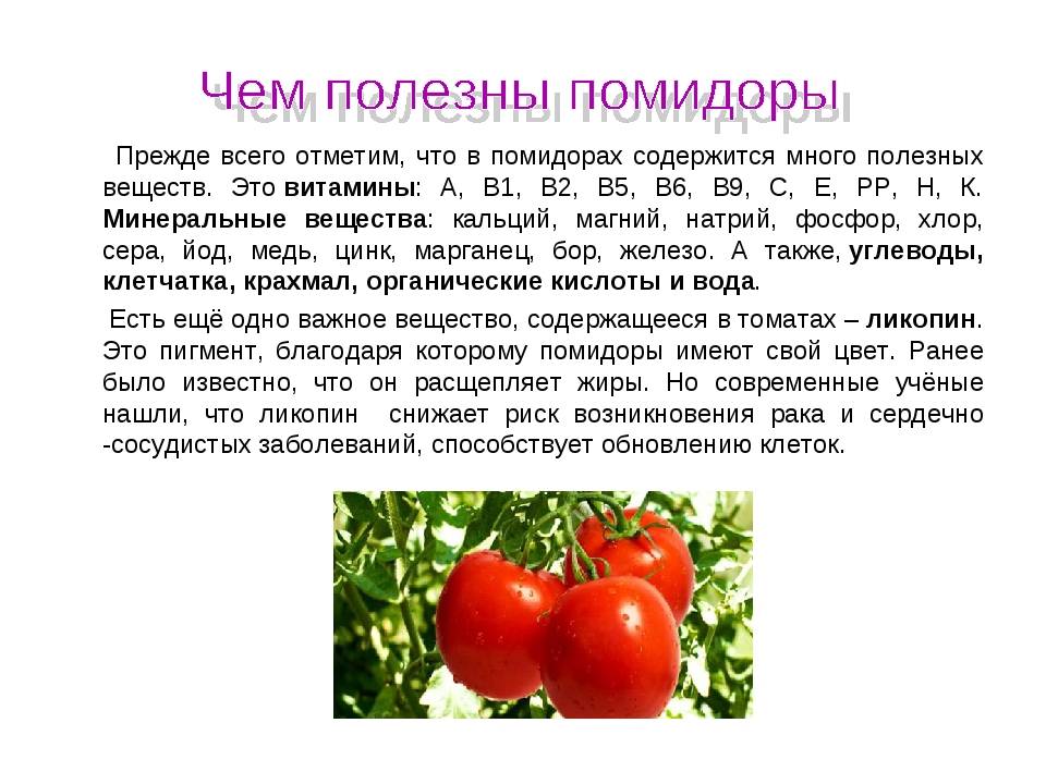 Сколько витаминов в помидорах? история "открытия" помидоров