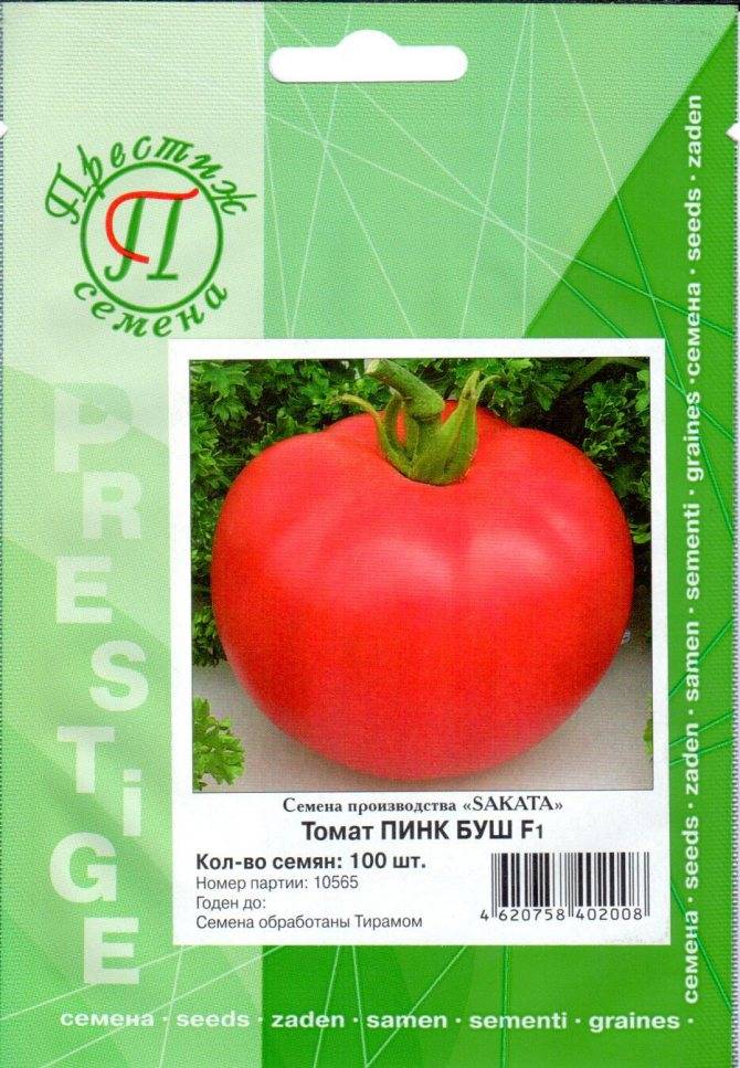 Томат пинк буш f1: характеристика и описание сорта, его урожайность с фото