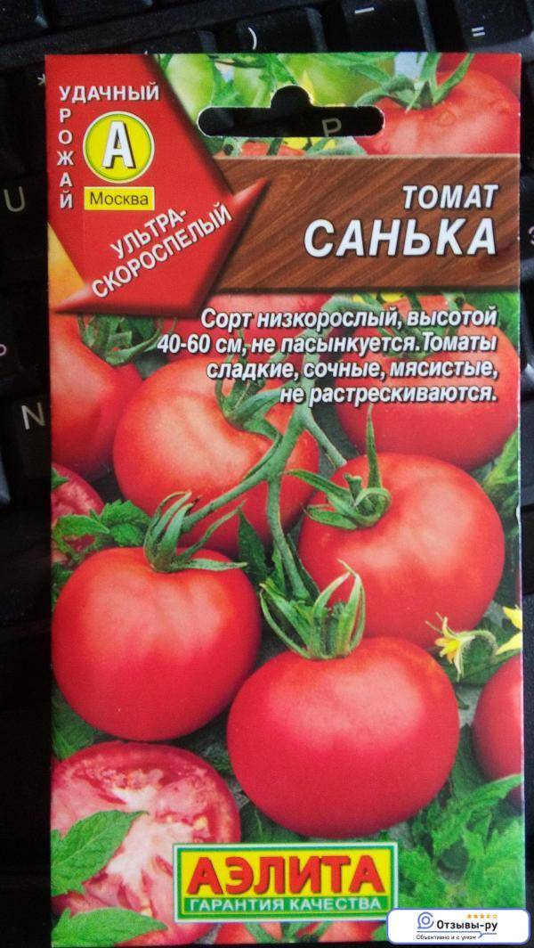 Характеристика томатов санька джекпот отзывы сайта азино777