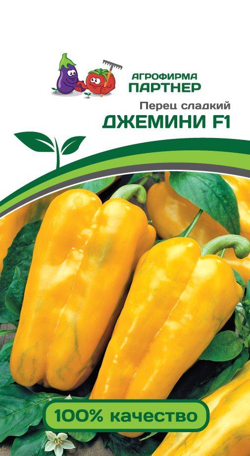 Перец джемини f1 — описание и характеристика сорта
