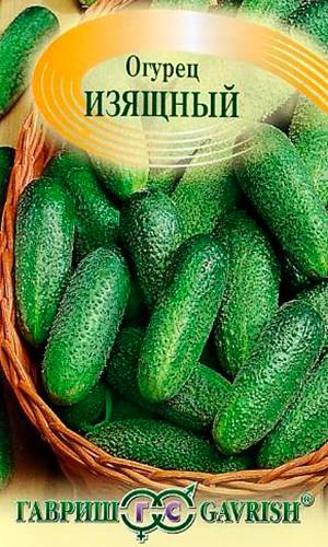 Огурец изящный — описание сорта, фото, отзывы, посадка и уход