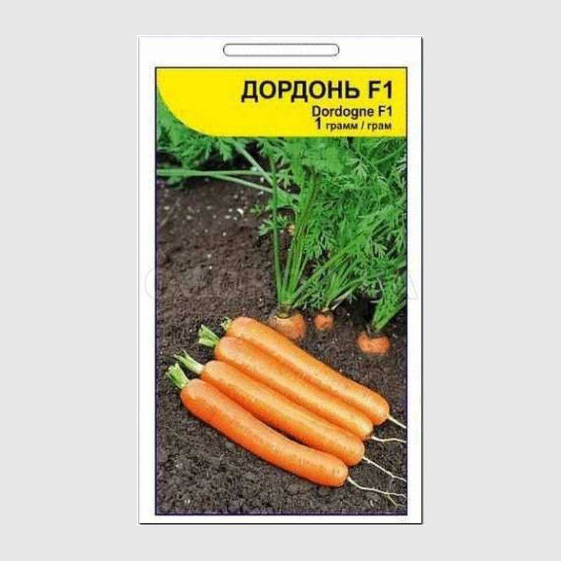 Морковь дордонь f1: описание, фото, отзывы