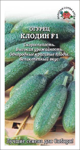 Огурец клодин: характеристика и описание сорта, выращивание и уход с фото