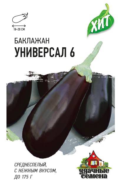 Универсал 6 баклажан: описание, выращивание, уход, фото
