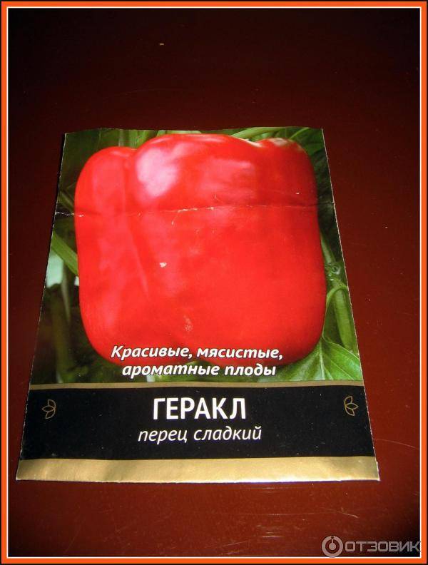 Перец геракл: описание и особенности выращивания