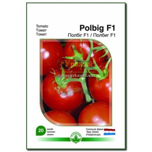 Полбиг: описание сорта томата, характеристики помидоров, выращивание