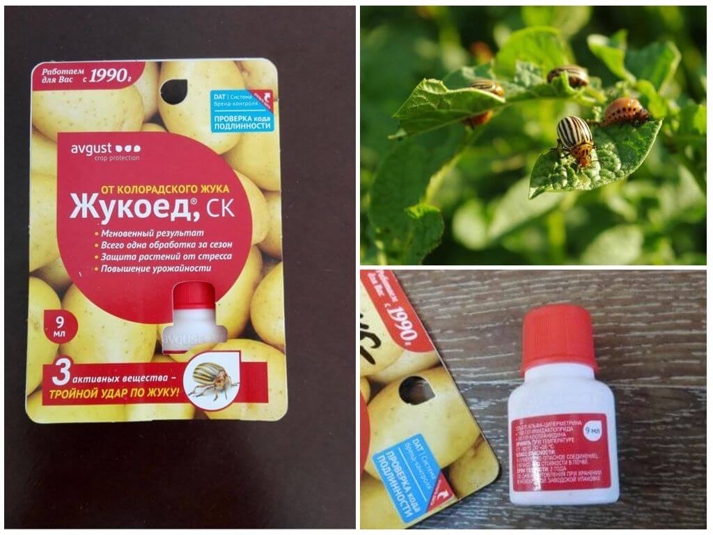 Отрава жукоед от колорадского жука: инструкция по применению, отзывы