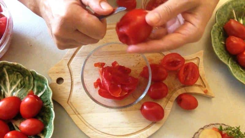 Всё про болезни рассады томатов: фото и их лечение