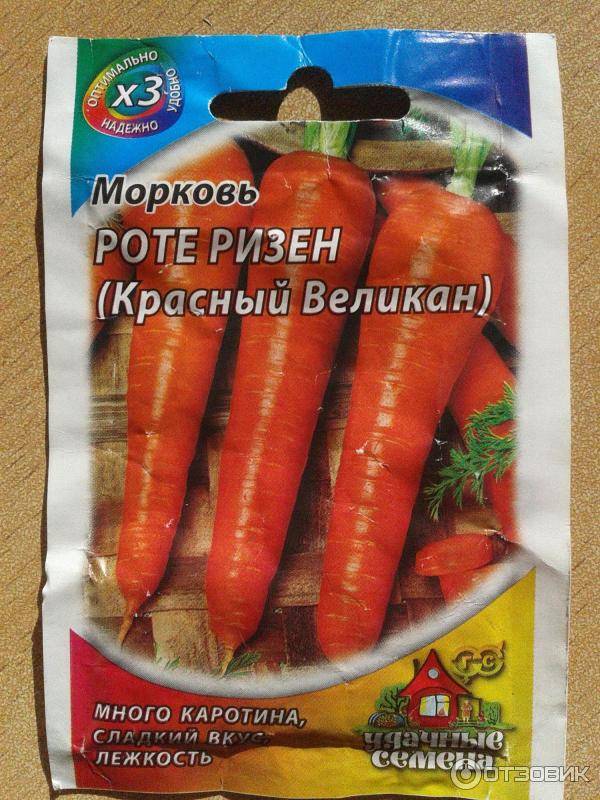 Описание, характеристика и особенности выращивания сорта моркови красный великан (роте ризен)