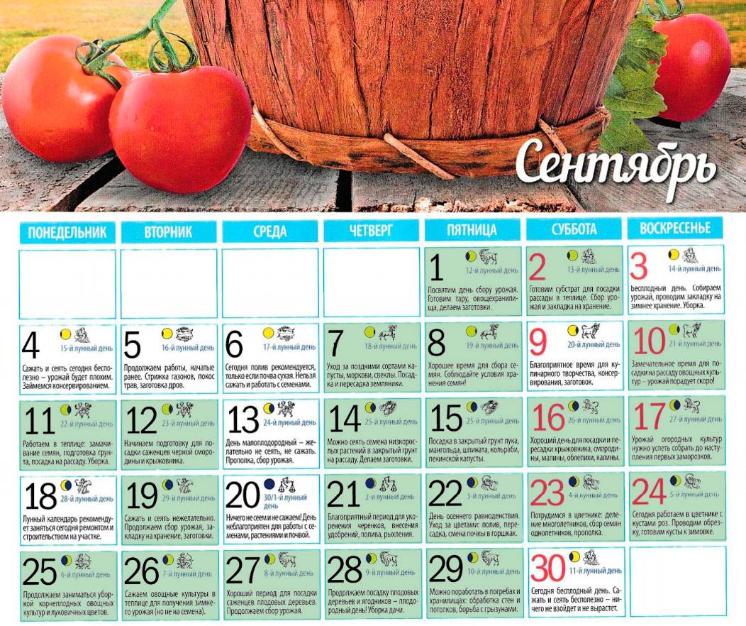 Лунный календарь посева капусты в апреле 2024. Благоприятные дни для посадки картофеля. Благоприятные дни для высадки картошки. Благоприятные дни для посадки картошки. Благоприятные дни для посадки картошки в апреле.