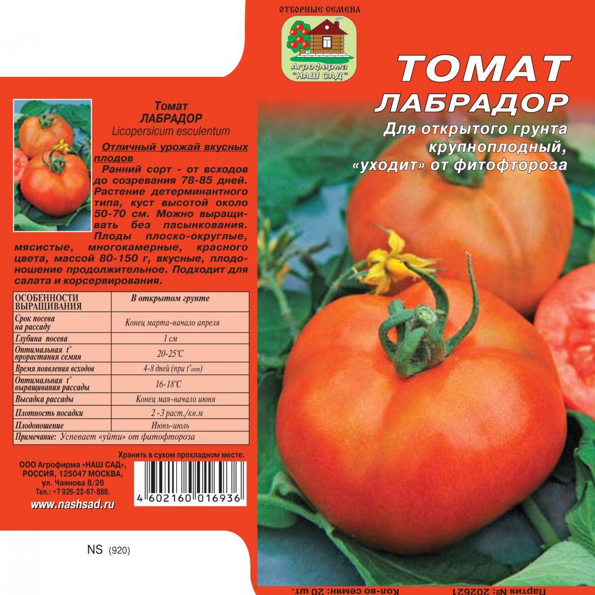 Томат лабрадор: отзывы, фото, урожайность, описание и характеристика | tomatland.ru