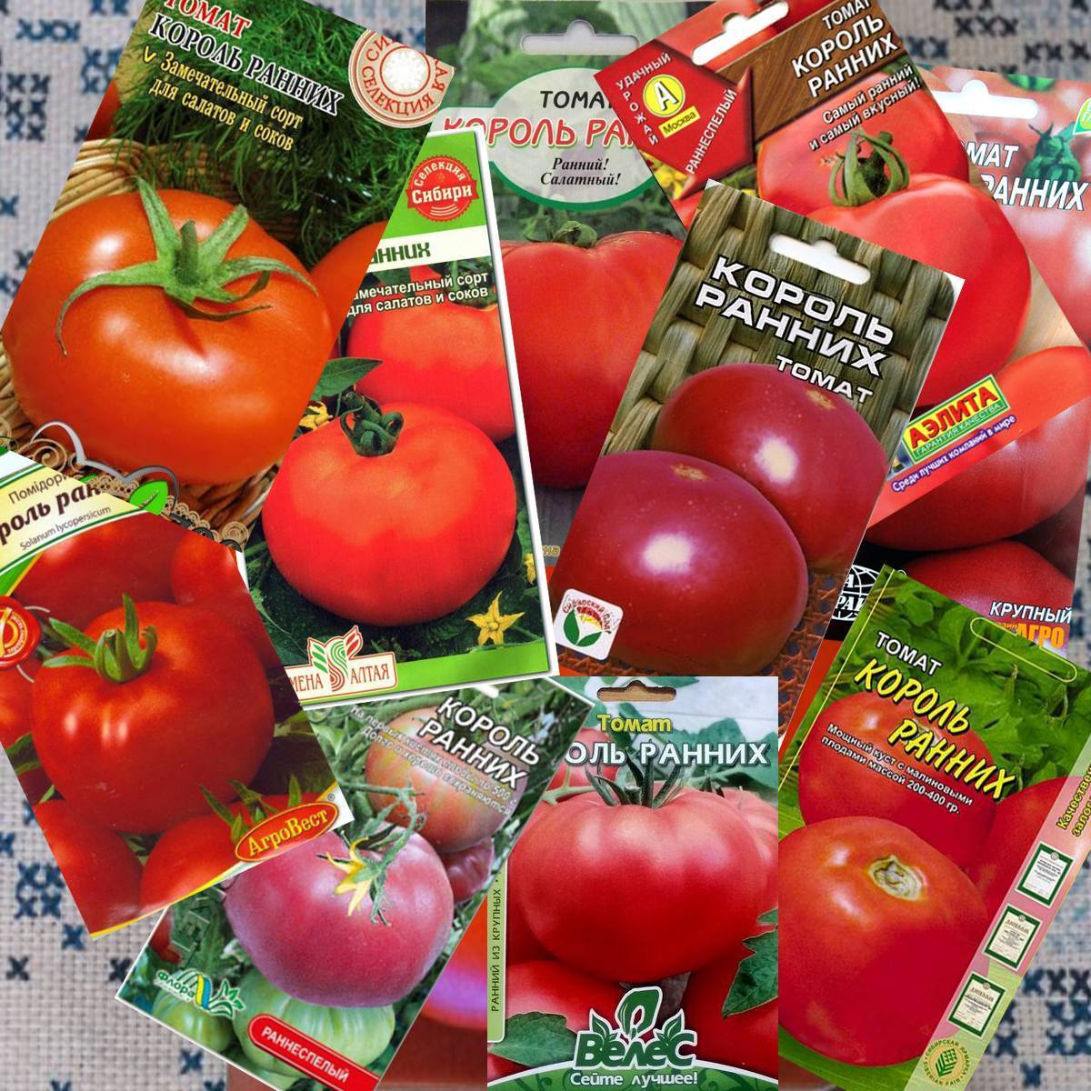 Томат "король ранних": характеристика и описание сорта – все о томатах. выращивание томатов. сорта и рассада.