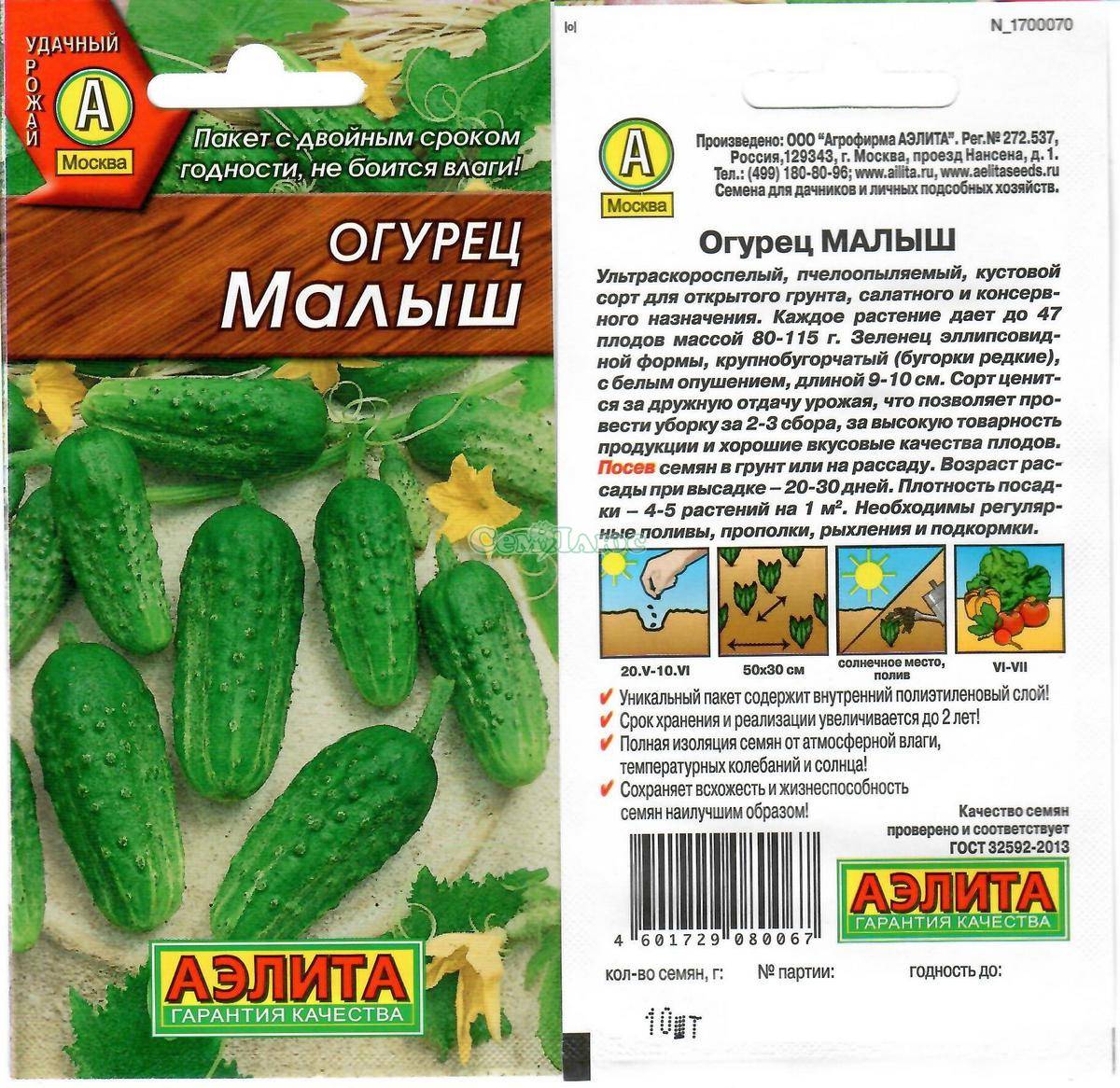 Огурец малыш: характеристика и описание сорта, отзывы, фото