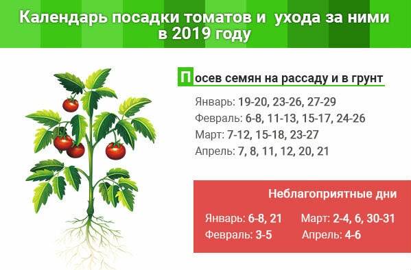Посев томатов на рассаду по лунному календарю 2017 года на supersadovnik.ru