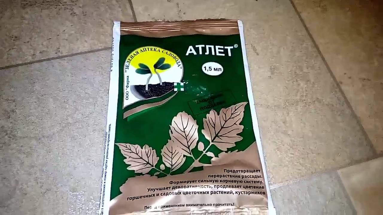 Атлет для рассады помидор: инструкция по применению препарата, фото и видео