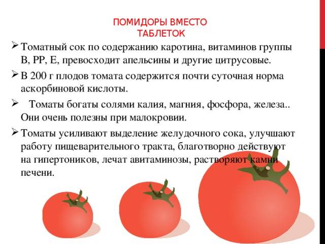 Распространенные болезни томатов: их симптомы и как с ними бороться
