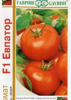Созданный отечественными селекционерами гибрид, дающий шикарный урожай – томат «евпатор»