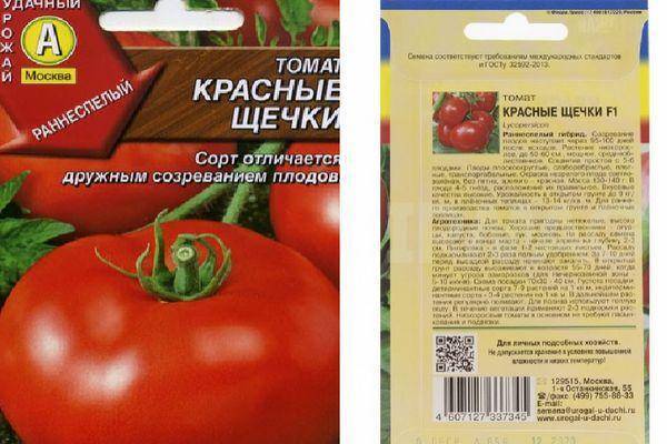 Хороший урожай с компактного куста — томат толстые щечки: описание сорта с отзывами