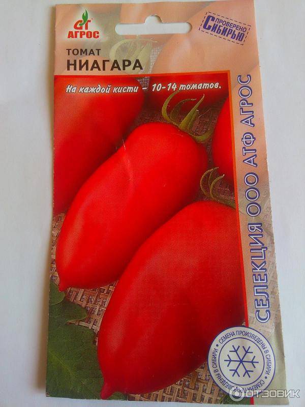Томат ниагара: отзывы, фото, урожайность, описание и характеристика сорта | tomatland.ru