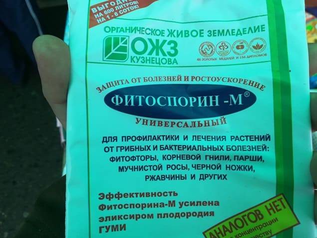 Применение фитоспорина для орхидей