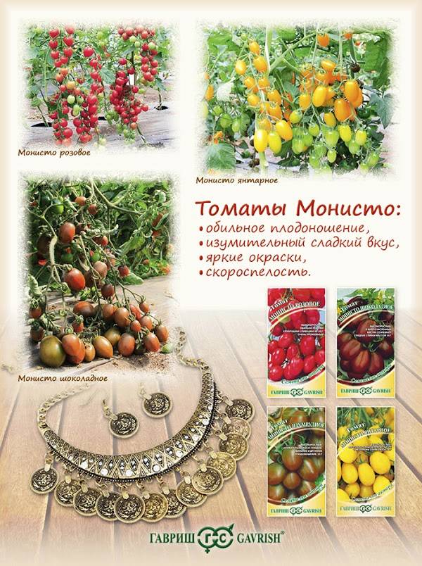 Сорт томата янтарный фото и описание
