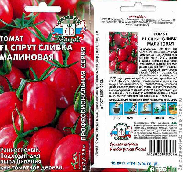Томат «спрут»: характеристика и описание сорта – все о томатах. выращивание томатов. сорта и рассада.
