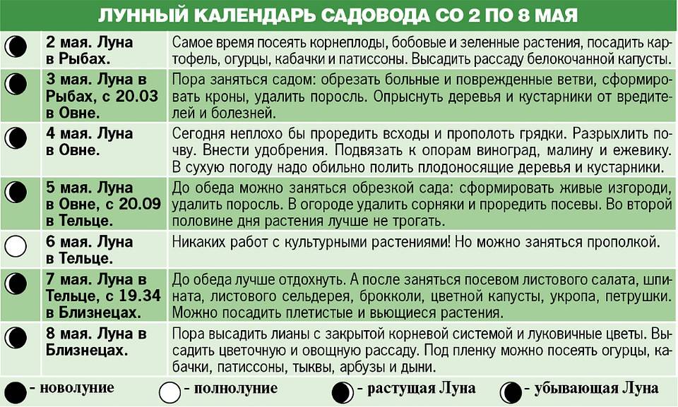 Особенности и сроки посадки картошки по лунному календарю в 2020 году в разных регионах россии