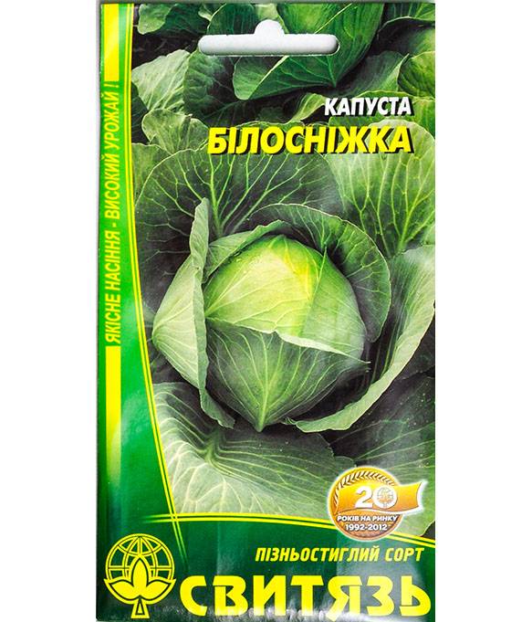 Капуста белоснежка описание сорта. Капуста Белоснежка. Капуста цветная Белоснежка описание. Сорта Белоснежки. Капуста сорт Белоснежка фото.