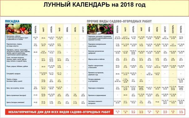Когда сажать картошку в 2020 году по лунному календарю, благоприятные дни для картофеля с учетом региона и народные приметы – zelenj.ru – все про садоводство, земледелие, фермерство и птицеводство