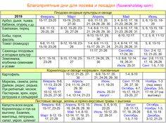 Лук 2019 посадка, сажать семена по календарю лунных дней