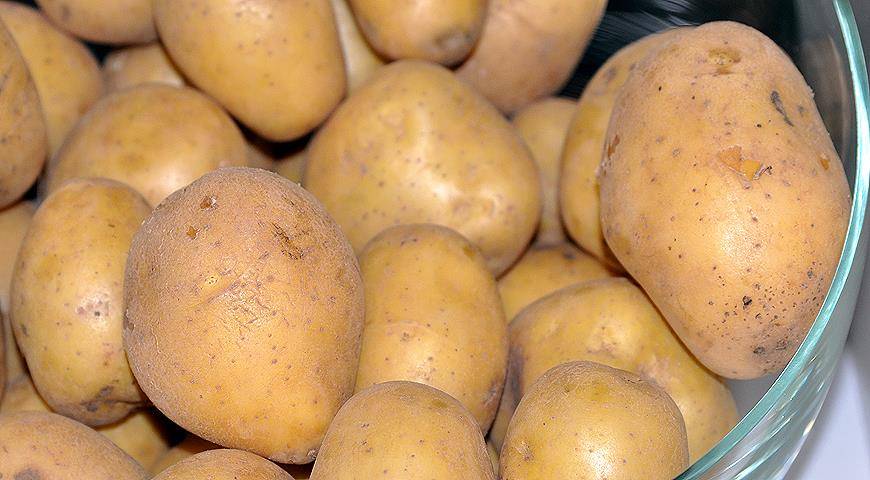 Картофель джелли: описание сорта, фото и отзывы