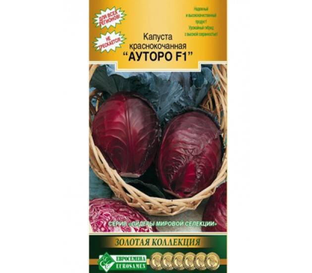 Голландские сорта белокочанной капусты