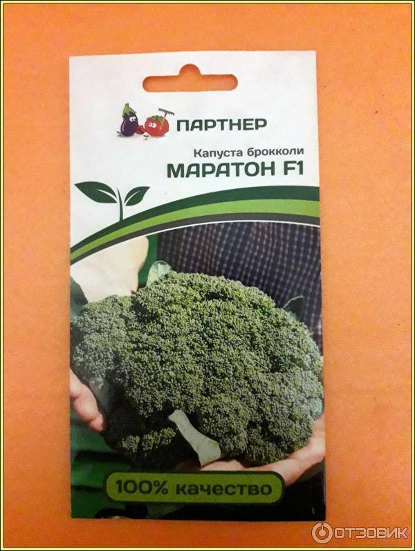 Капуста брокколи маратон отзывы — moreremonta