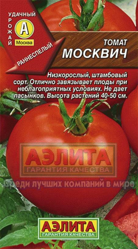 Томат москвич: описание и характеристика, отзывы, фото, урожайность | tomatland.ru