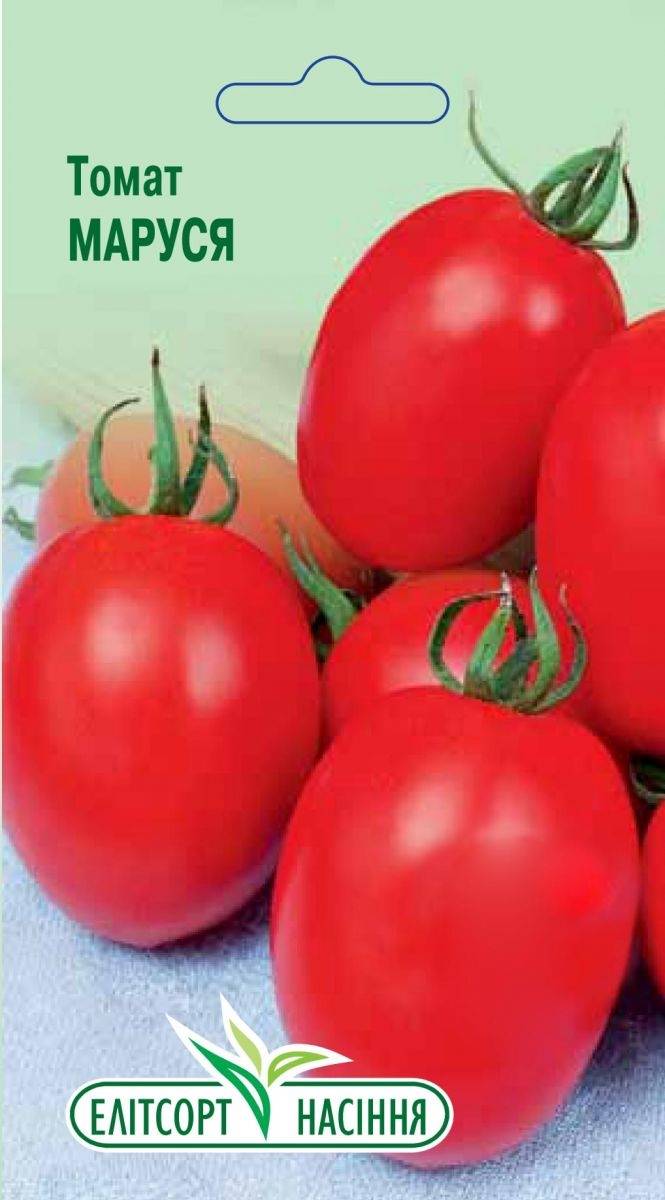 Неприхотливый томат «маруся» с отличными вкусовыми качествами: выращиваем самостоятельно и наслаждаемся урожаем