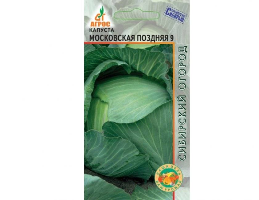 Капуста московская поздняя 9: описание сорта белокочанного, фото и отзывы