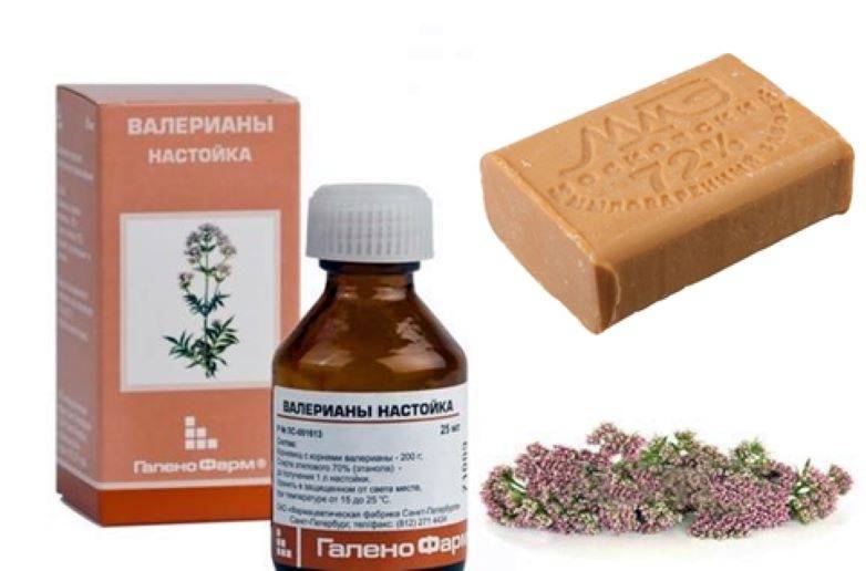 Валерьянка для капусты от вредителей
