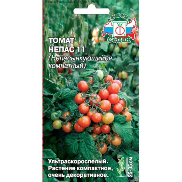 Хороший урожай при минимальном уходе — томат непас 14 непасынкующийся сахарный: описание сорта