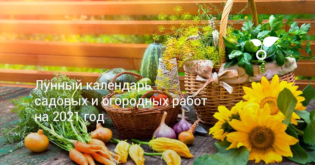 Лунный посевной календарь 2021 года по месяцам для огородников сибири и урала: таблица посевов овощей, зелени, цветов