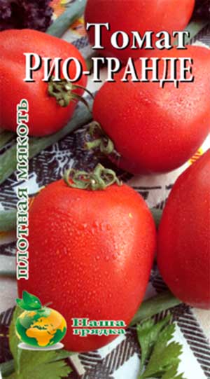 Характеристика и описание сорта помидор Рио Гранде, его урожайность