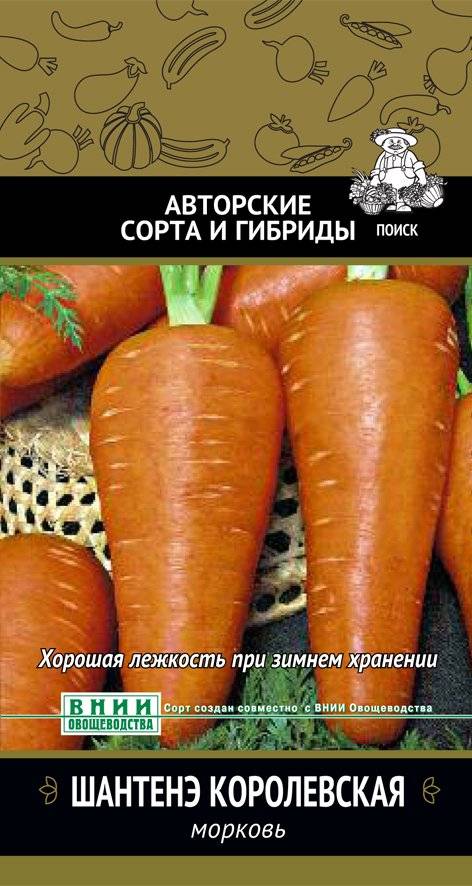 Морковь курода шантане отзывы фото