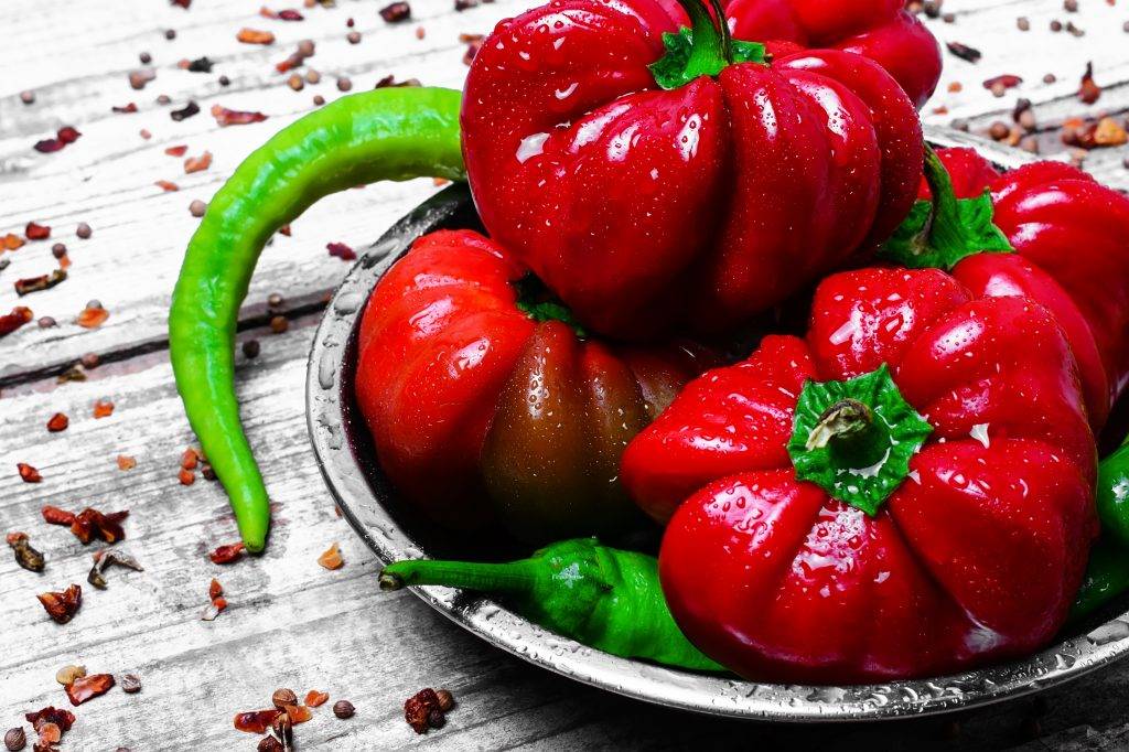 Перец ратунда на зиму: самые вкусные рецепты, приготовление с фото