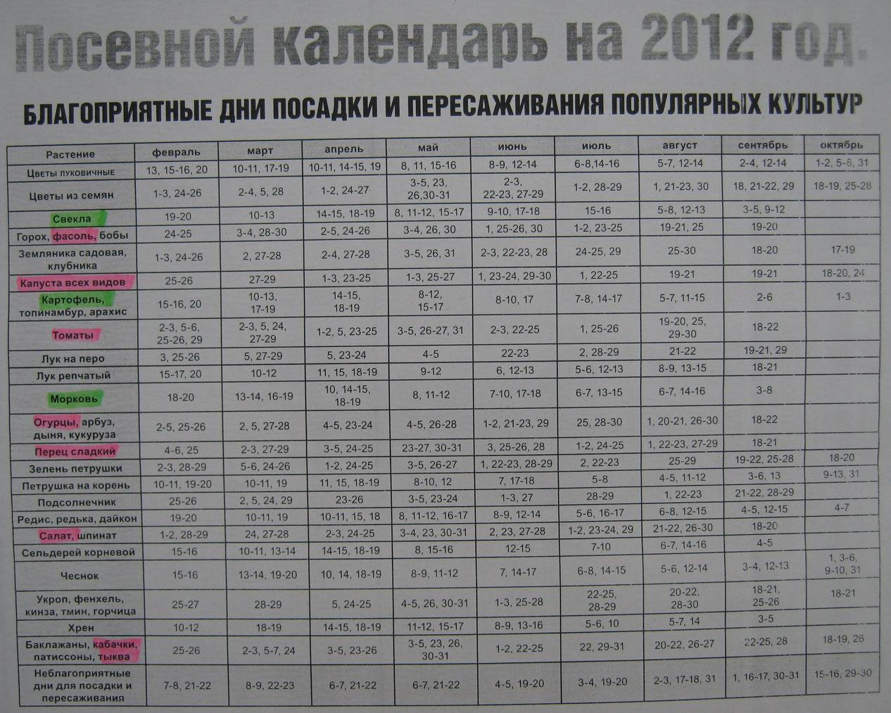 Когда сажать морковь весной в открытый грунт по лунному календарю в апреле 2020 года: самые благоприятные дни – сад и огород своими руками