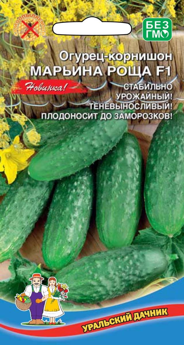 Огурцы марьина роща описание сорта фото отзывы