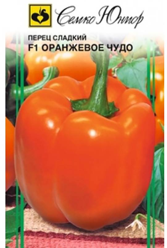 Гибрид, который не оставит вас равнодушными — перец «оранжевое чудо» и особенности его выращивания
