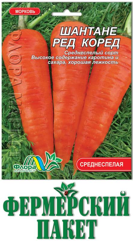 Особенности моркови сорта шантане