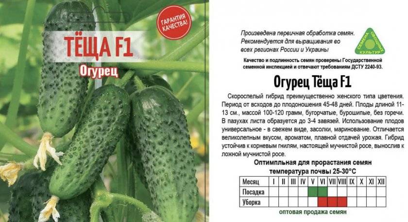 Огурец аскер f1: характеристика и описание сорта, фото, посадка и уход, технология выращивания семян, отзывы
