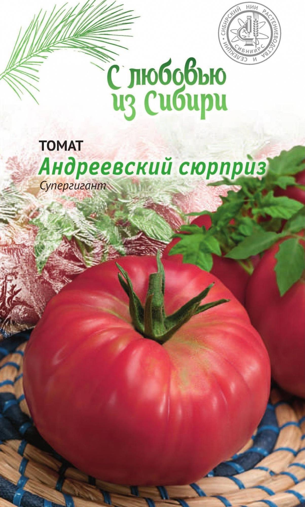 Салатный сорт с отличной холодостойкостью — томат алтайский сюрприз: описание помидоров и советы по выращиванию
