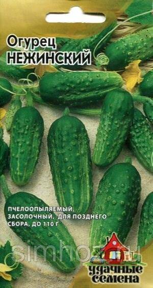 Нежинский  огурец: особенности и характеристики сорта